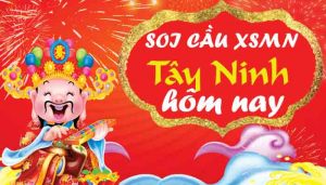 Dự đoán XSTN hôm nay