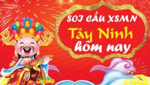 Dự đoán XSTN hôm nay