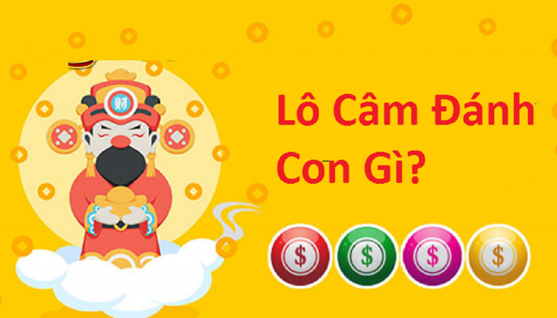 lo-cam-danh-con-gi-2-800x457-1